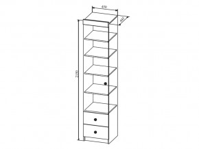 Шкаф Сканди ШД450.1 в Соликамске - solikamsk.magazinmebel.ru | фото - изображение 2